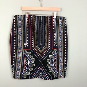 Gorgeous size XL Sharagano Skirt